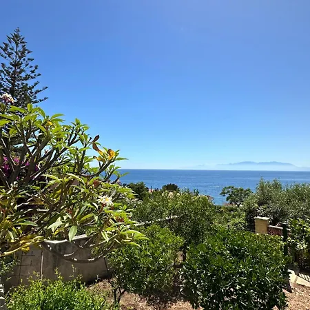 Дом отдыха Rosa's House *