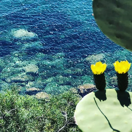 Rosa's House Дом отдыха *