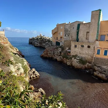 Rosa's House Дом отдыха *