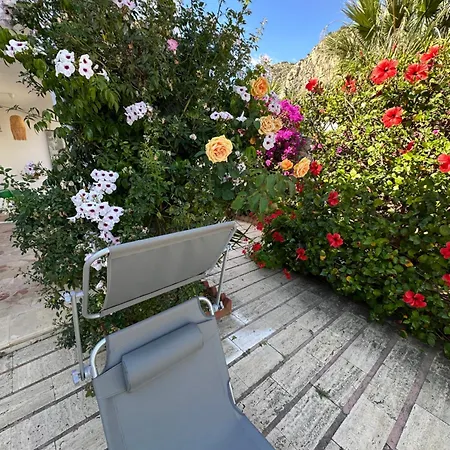 Rosa's House